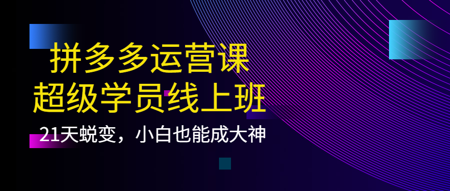 拼多多运营课：超级学员线上班，21天蜕变，小白也能成大神-创盟网