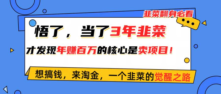 悟了，当了3年韭菜，才发现网赚圈年赚100万的核心是卖项目，含泪分享！-创盟网