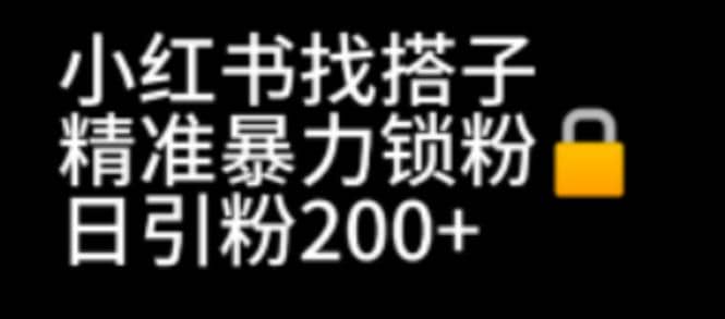 小红书找搭子暴力精准锁粉+引流日引200+精准粉-创盟网