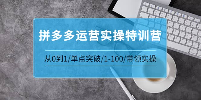 拼多多运营实操特训营：从0到1/单点突破/1-100/带领实操 价值2980元-创盟网