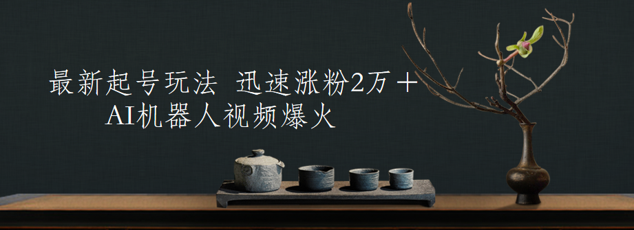 最新起号玩法，AI机器人视频爆火，迅速涨粉2万＋-创盟网