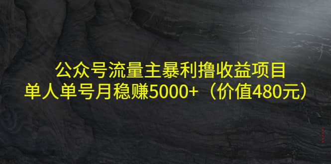 公众号流量主暴利撸收益项目，单人单号月稳赚5000+（价值480元）-创盟网