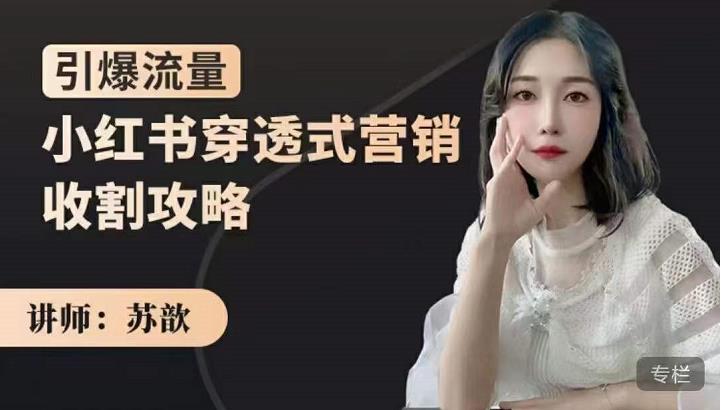 小红书穿透式营销收割攻略，引爆流量，助你玩转小红书-创盟网