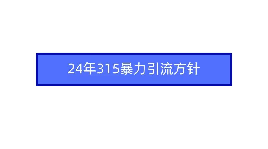 2024年315暴力引流方针-创盟网