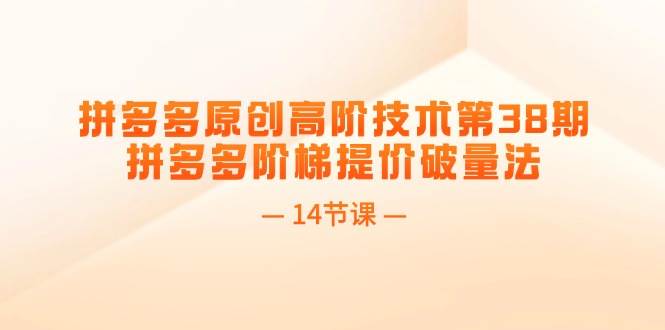 拼多多原创高阶技术第38期，拼多多阶梯提价破量法（14节课）-创盟网