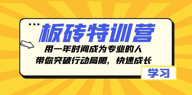 板砖特训营，用一年时间成为专业的人，带你突破行动局限，快速成长-创盟网