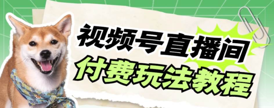 视频号美女付费无人直播，轻松日入500+【详细玩-创盟网