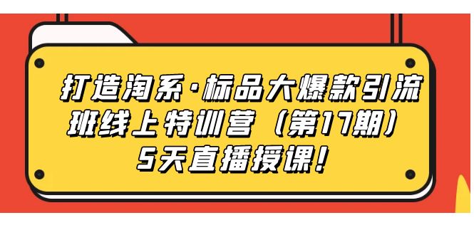 打造淘系·标品大爆款引流班线上特训营5天直播授课！-创盟网