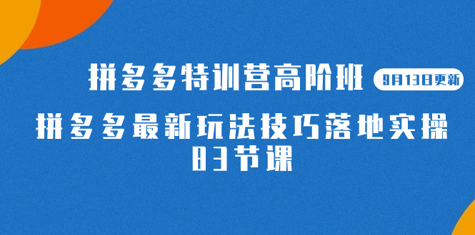 2023拼多多·特训营高阶班【9月13日更新】拼多多最新玩法技巧落地实操-83节-创盟网