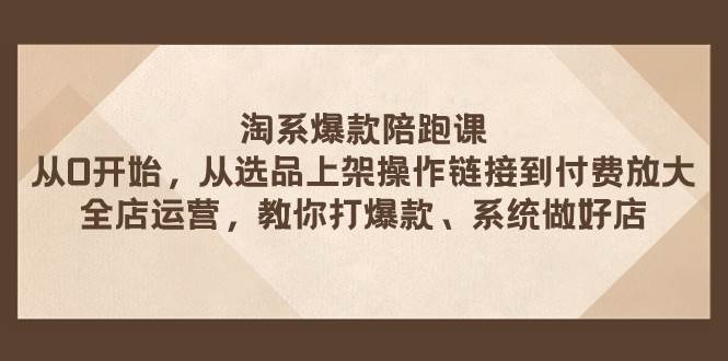 淘系爆款陪跑课 从选品上架操作链接到付费放大 全店运营 打爆款 系统做好店-创盟网