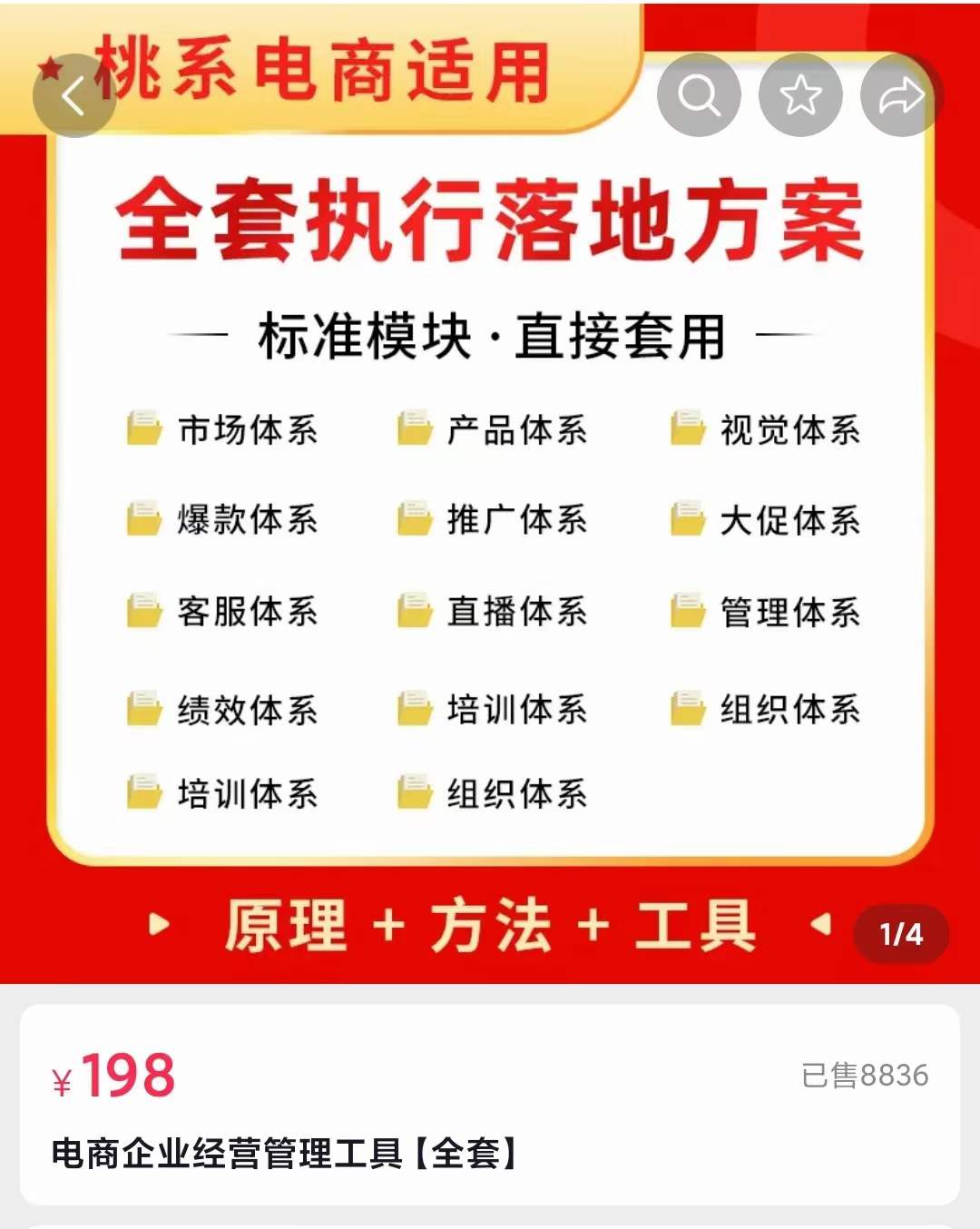 外面卖198·电商企业经营管理工具：全套执行落地方案 标准模块·直接套用-创盟网