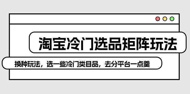 淘宝冷门选品矩阵玩法：换种玩法，选一些冷门类目品，去分平台一点羹-创盟网