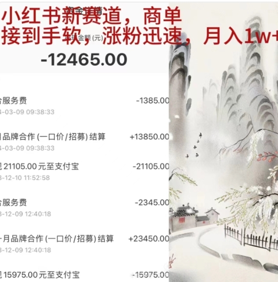 小红书新赛道，商单接到手软，涨粉迅速，一个月1w+-创盟网