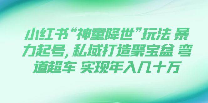 小红书“神童降世”玩法 暴力起号,私域打造聚宝盆 弯道超车 实现年入几十万-创盟网