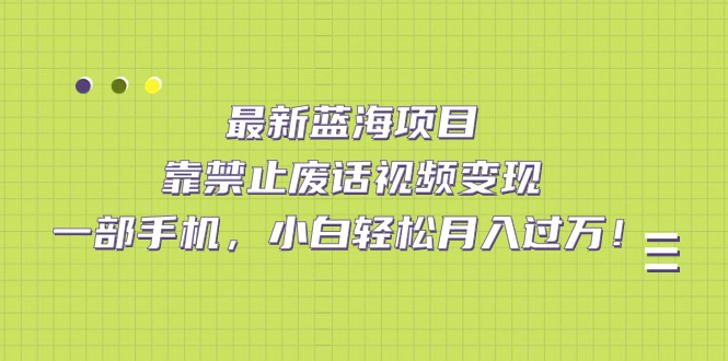 最新蓝海项目，靠禁止废话视频变现，一部手机，小白轻松月入过万！-创盟网