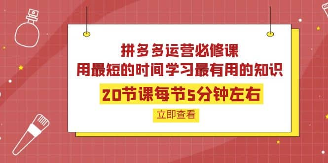 拼多多运营必修课：20节课每节5分钟左右，用最短的时间学习最有用的知识-创盟网