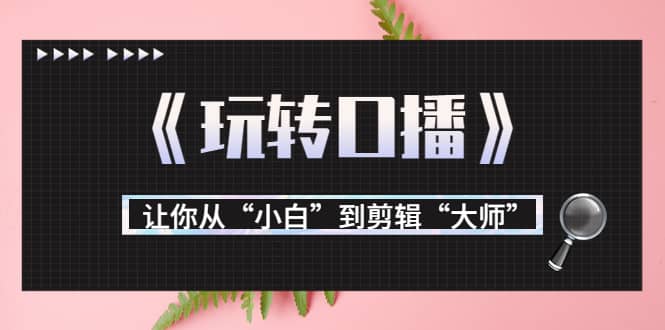 月营业额700万+大佬教您《玩转口播》让你从“小白”到剪辑“大师”-创盟网