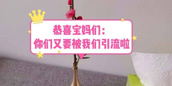 恭喜宝妈们：你们又要被我们引流了（教程+222g资料）-创盟网