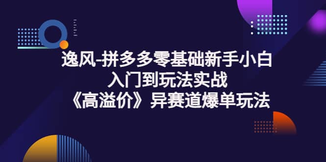 拼多多零基础新手小白入门到玩法实战《高溢价》异赛道爆单玩法实操课-创盟网