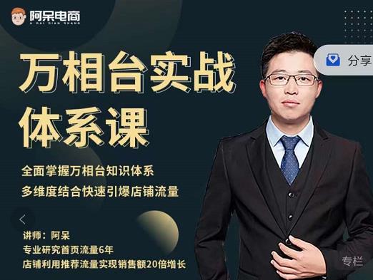 阿呆-万相台实战体系课，帮您全面掌握万相台知识体系-创盟网