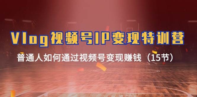 Vlog 视频号IP变现特训营，普通人如何通过视频号变现赚钱（15节）-创盟网