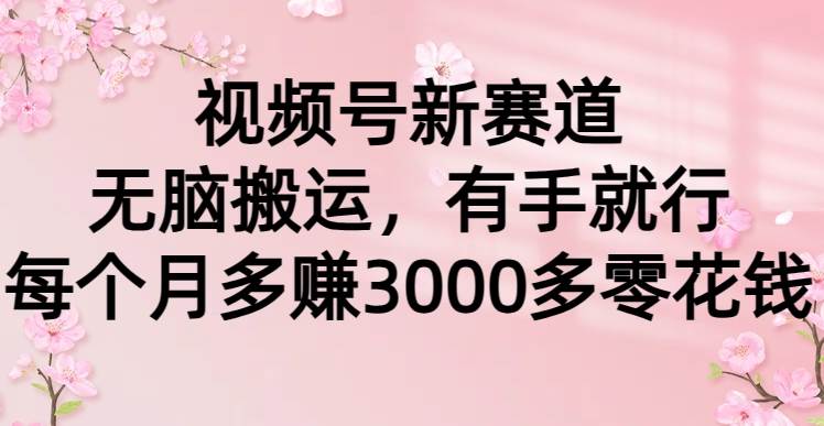 视频号新赛道，无脑搬运，有手就行，每个月多赚3000多零花钱-创盟网