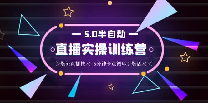 蚂蚁·5.0半自动直播2345打法，半自动爆流直播技术+5分钟卡点循环引爆话术-创盟网