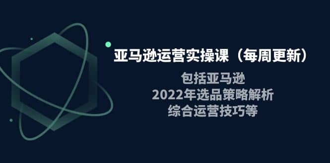 亚马逊运营实操课（每周更新）包括亚马逊2022选品策略解析，综合运营技巧等-创盟网