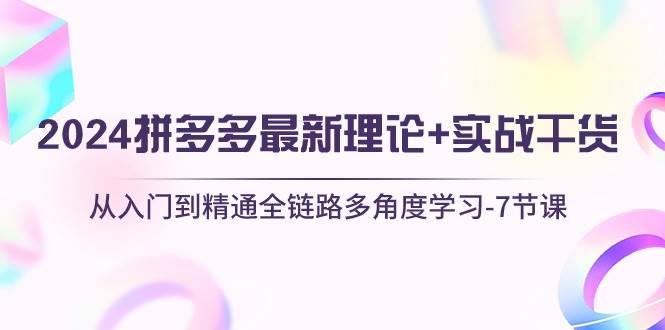 2024拼多多 最新理论+实战干货，从入门到精通全链路多角度学习-7节课-创盟网