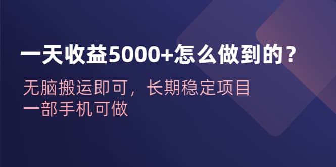 一天收益5000+怎么做到的？无脑搬运即可，长期稳定项目，一部手机可做-创盟网