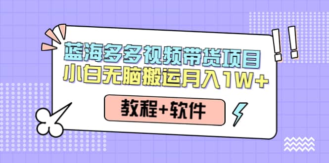 人人都能操作的蓝海多多视频带货项目 小白无脑搬运（教程+软件）-创盟网