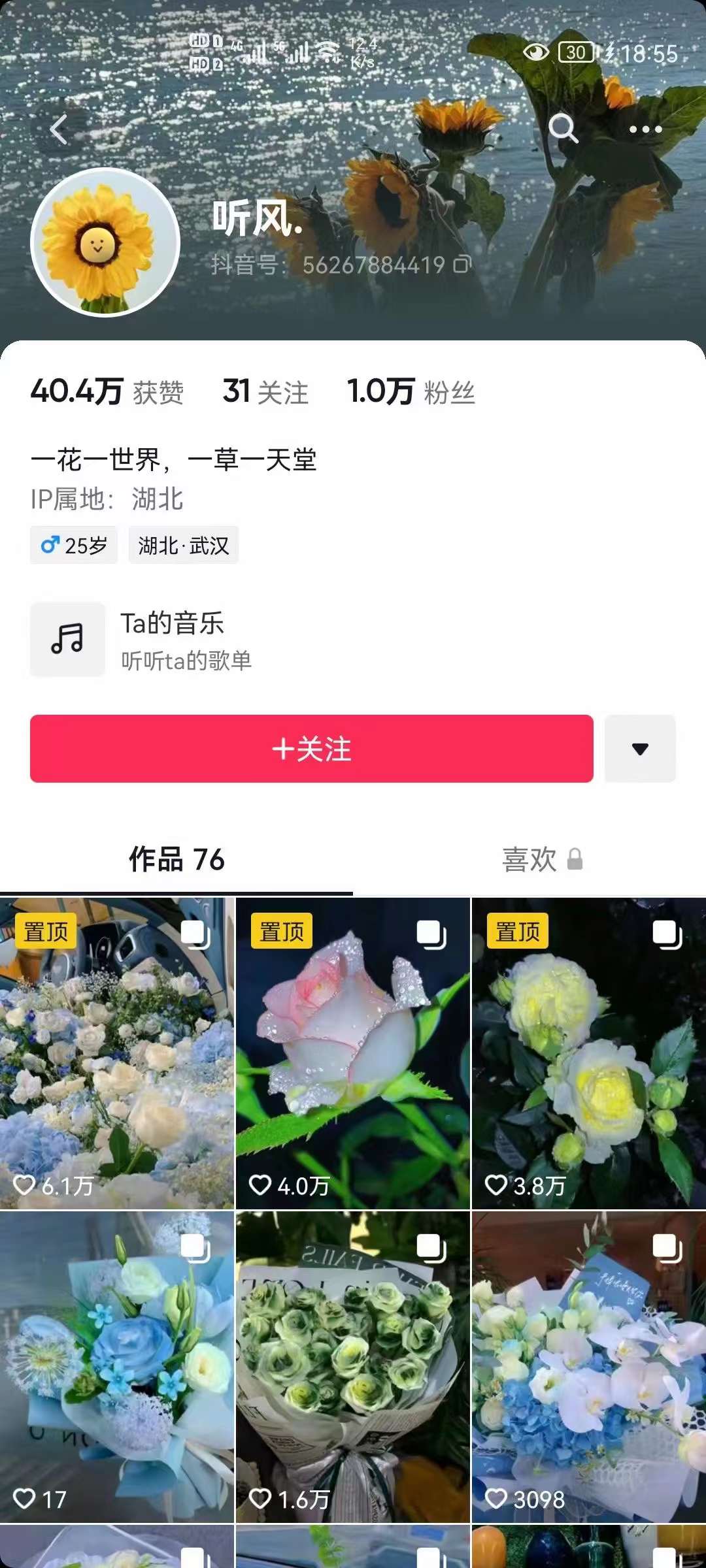 图片[2]-抖音壁纸变现项目：实战日入380+发布壁纸素材获取收益！-创盟网
