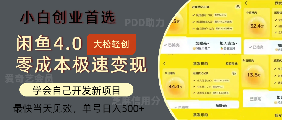 闲鱼0成本极速变现项目，多种变现方式，单号日入500+最新玩法-创盟网