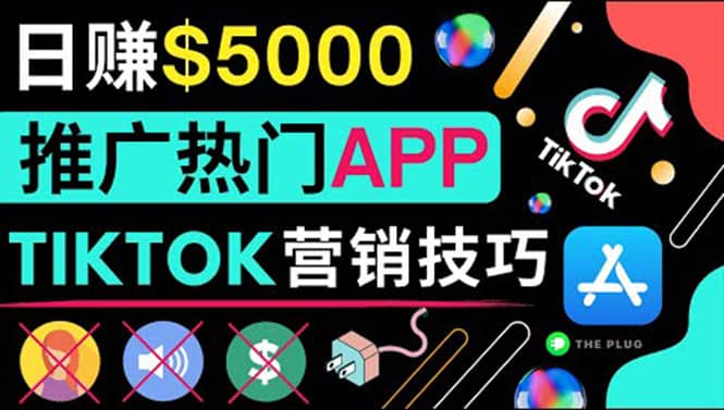 无需露脸，无需录音，无需投资，TIKTOK上传短视频，最高日入5000美元-创盟网