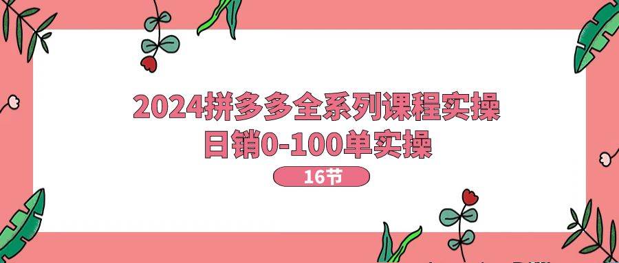 2024拼多多全系列课程实操，日销0-100单实操【16节课】-创盟网