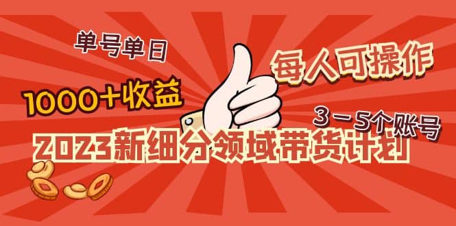 2023新细分领域带货计划：单号单日1000+收益不难，每人可操作3-5个账号-创盟网