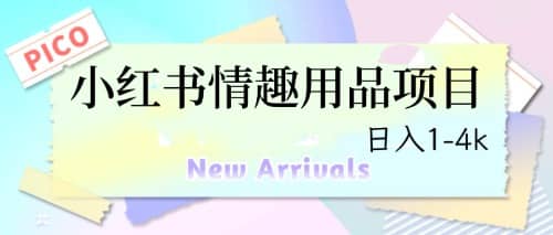 最新小红书情趣用品项目，日入1-4k-创盟网