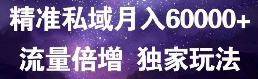 原力网赚精准私域月入60000+,流量倍增独家玩法-创盟网