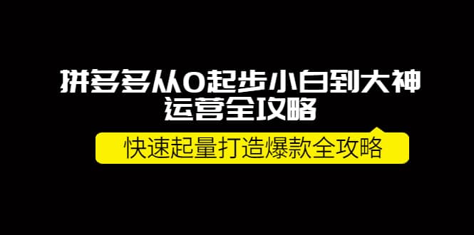 拼多多从0起步小白到大神运营全攻略-创盟网