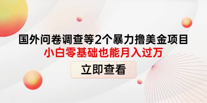 国外问卷调查等2个暴力撸美元项目，小白零基础也能月入过万-创盟网