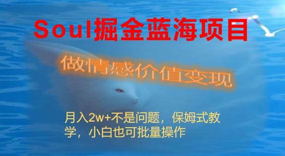 Soul掘金蓝海项目细分赛道，做情感价值变现，月入2w+不是问题-创盟网