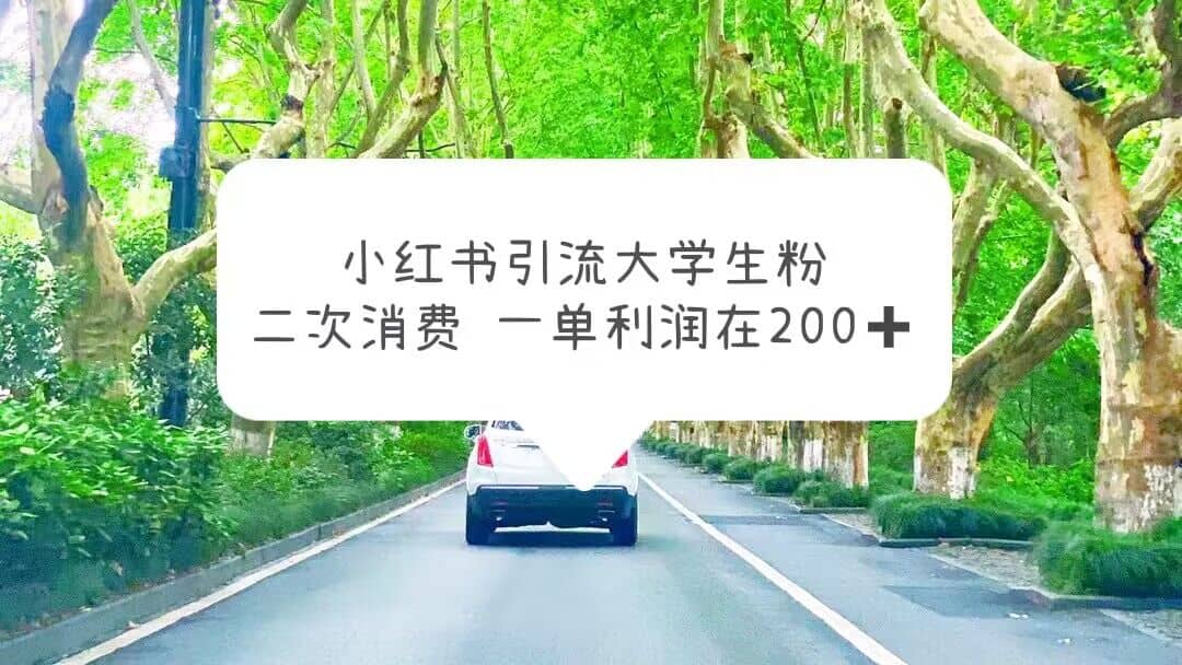 小红书引流大学生粉，变现项目，一单利润在200+（教程+资源）-创盟网