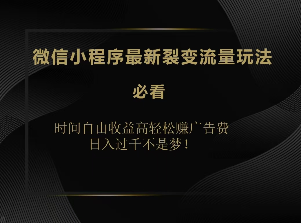 微信小程序最新裂变流量玩法，时间自由收益高轻松赚广告费，日入200-500+-创盟网