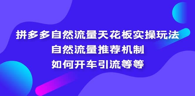 拼多多自然流量天花板实操玩法：自然流量推荐机制，如何开车引流等等-创盟网