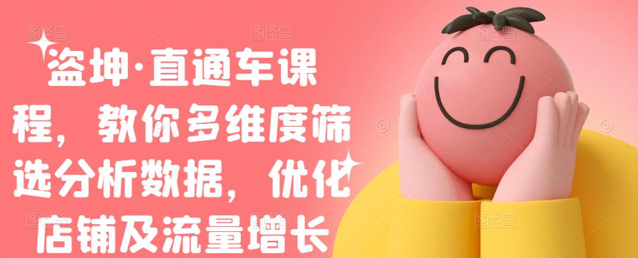 盗坤·直通车课程，教你多维度筛选分析数据，优化店铺及流量增长-创盟网
