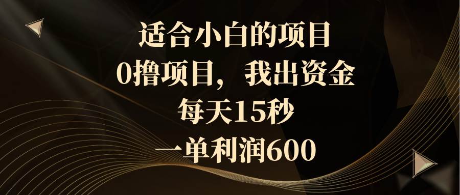 适合小白的项目，0撸项目，我出资金，每天15秒，一单利润600-创盟网
