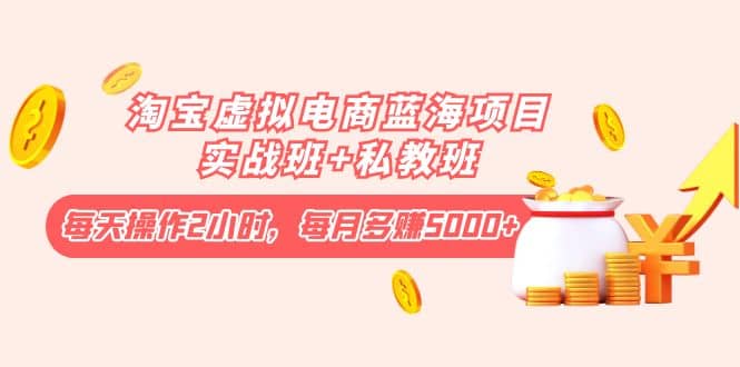 淘宝虚拟电商蓝海项目实战班+私教班-创盟网