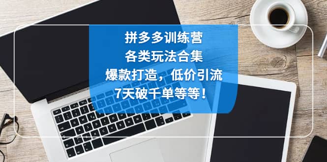 拼多多训练营：各玩法合集，爆款打造，低价引流，7天破千单等等-创盟网