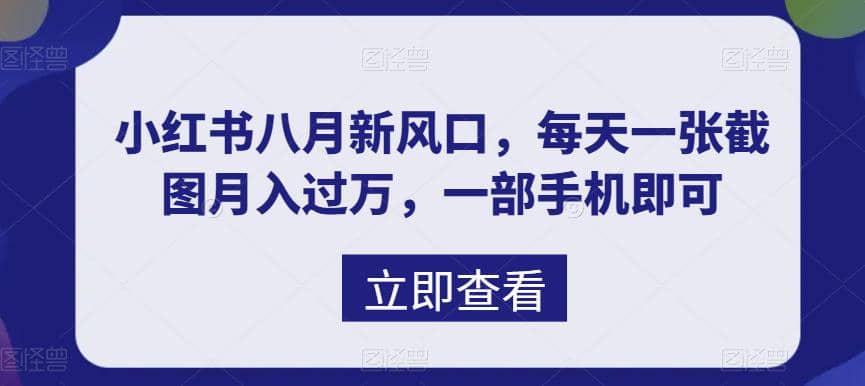 八月新风口，小红书虚拟项目一天收入1000+，实战揭秘-创盟网