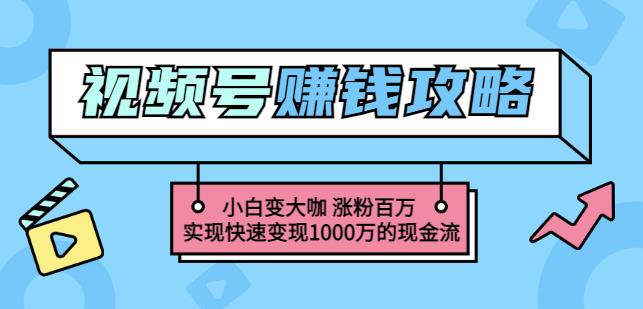 玩转微信视频号赚钱：小白变大咖涨粉百万实现快速变现1000万的现金流-创盟网